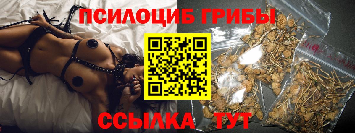 купить  цена  Вход с VPN  Псилоцибиновые грибы мицелий  Партизанск  Псилоцибиновые грибы ЛСД 